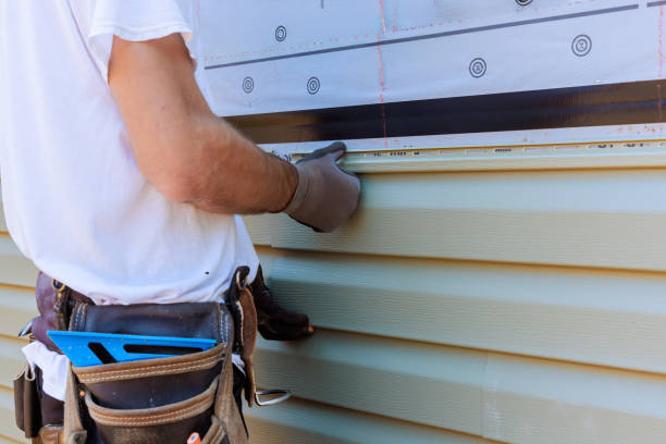 Affordable Vinyl Siding solutions in Rebuck, PA